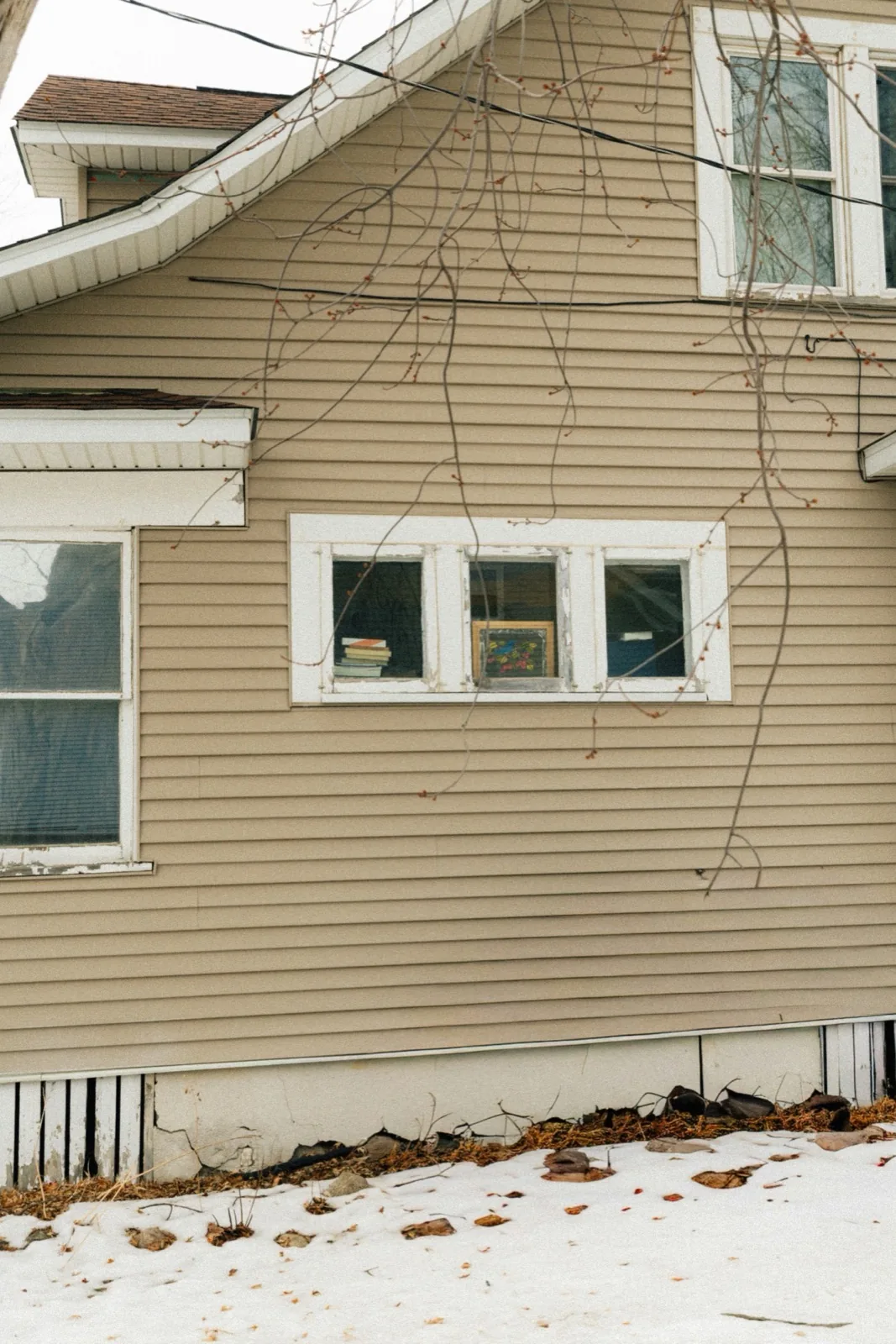 Siding before replacement. Worn and faded